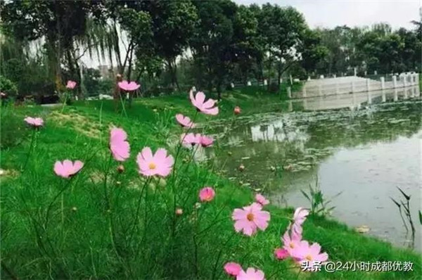 5_副本.jpg